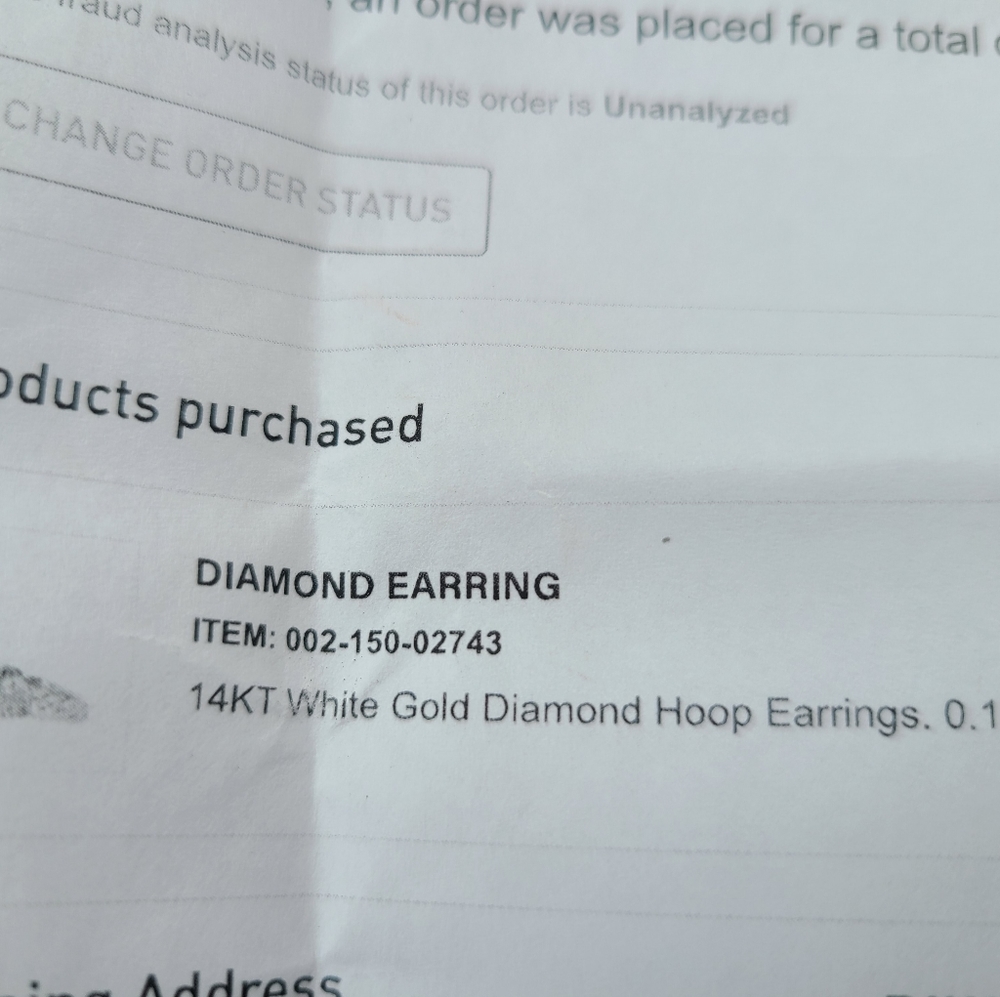 Earrings